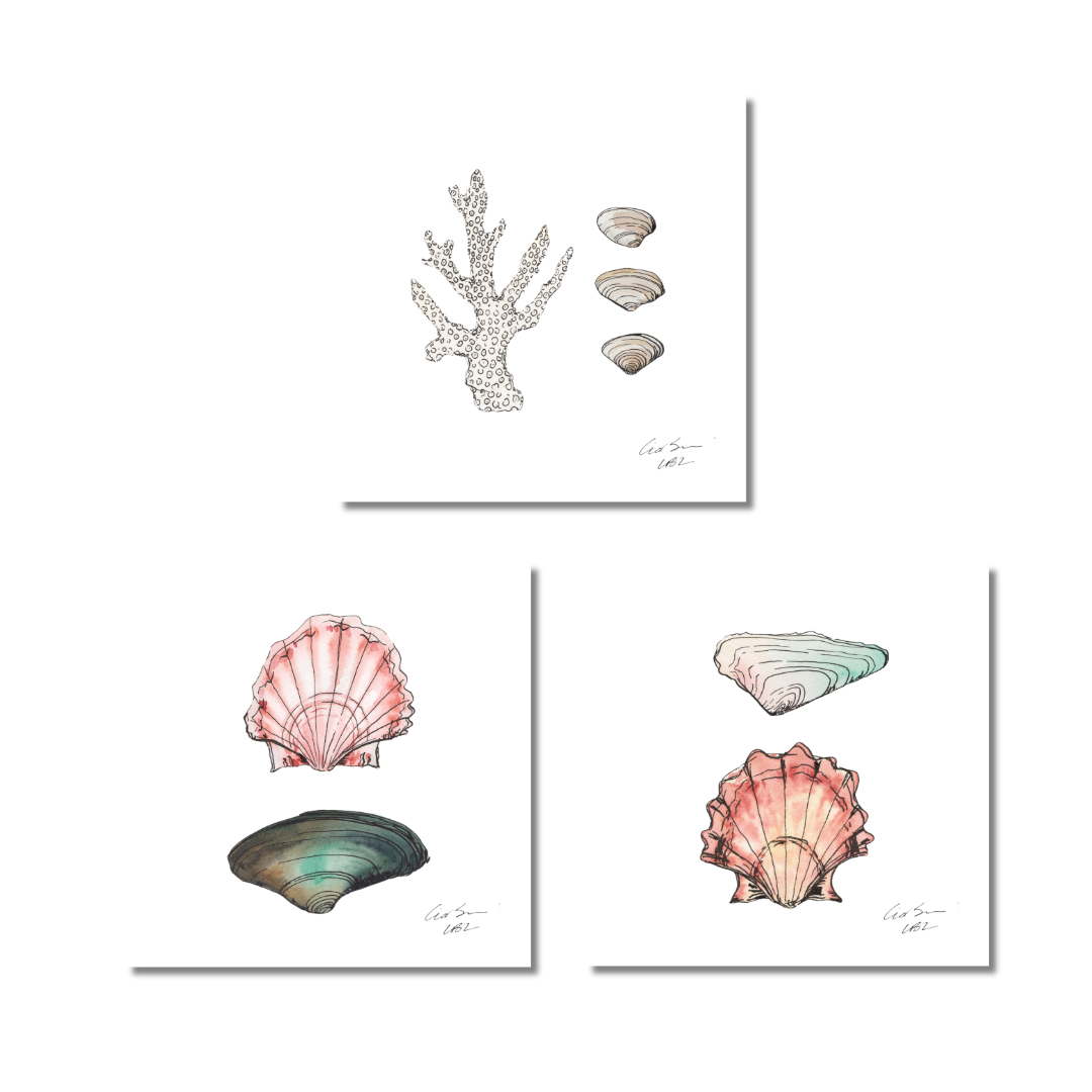 Single Sea Life Pairs