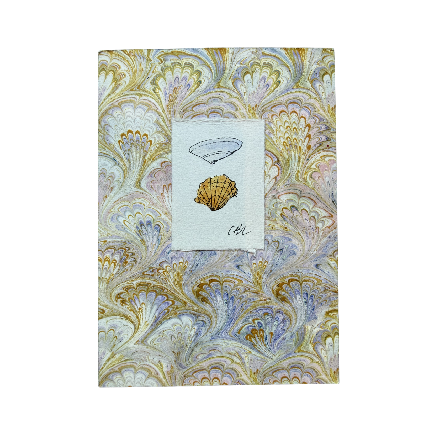 Sullivans Island Shells - Lavender