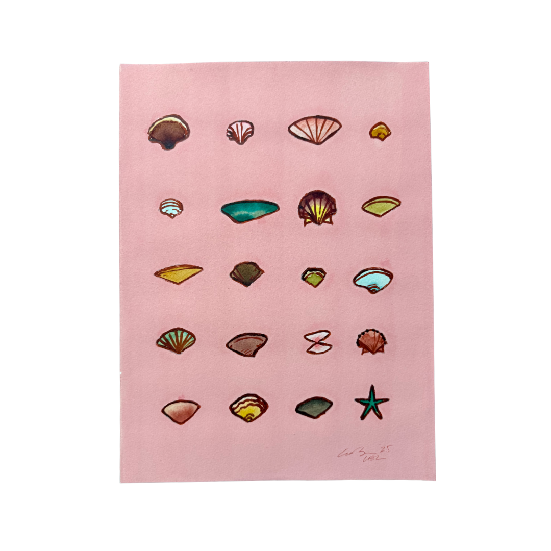 Organic Shell Collection on Pink