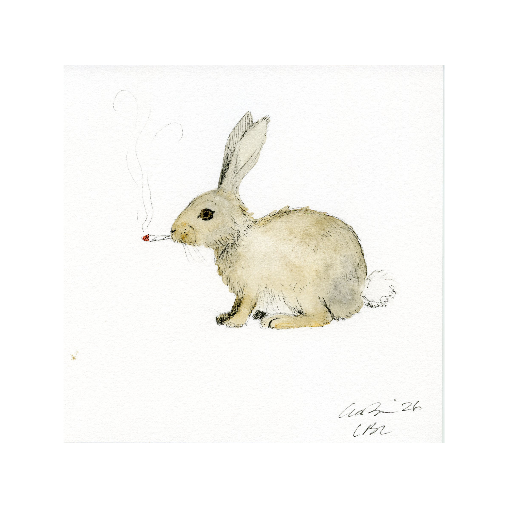 Blunt Bunny.png