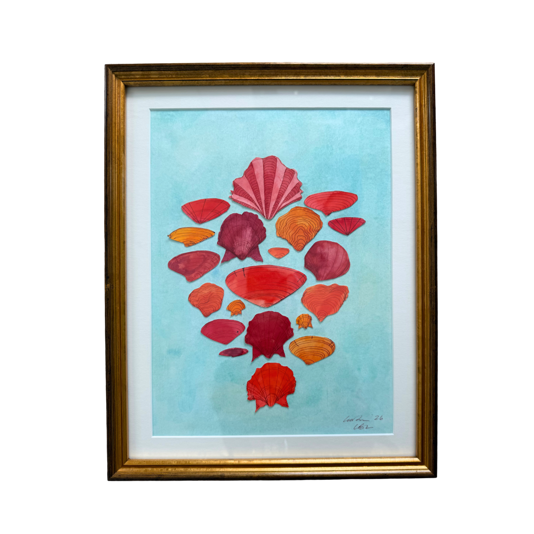 Shell Collage