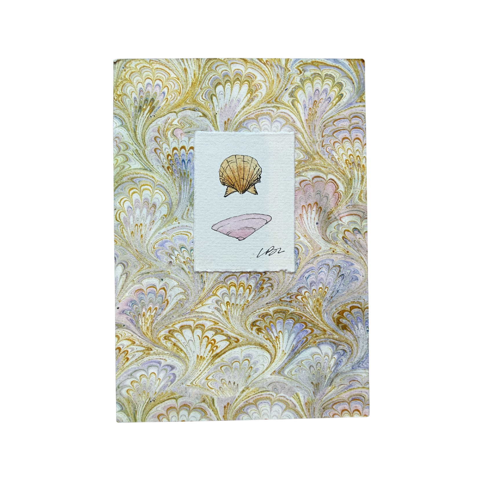 Sullivans Island Shells - Pink