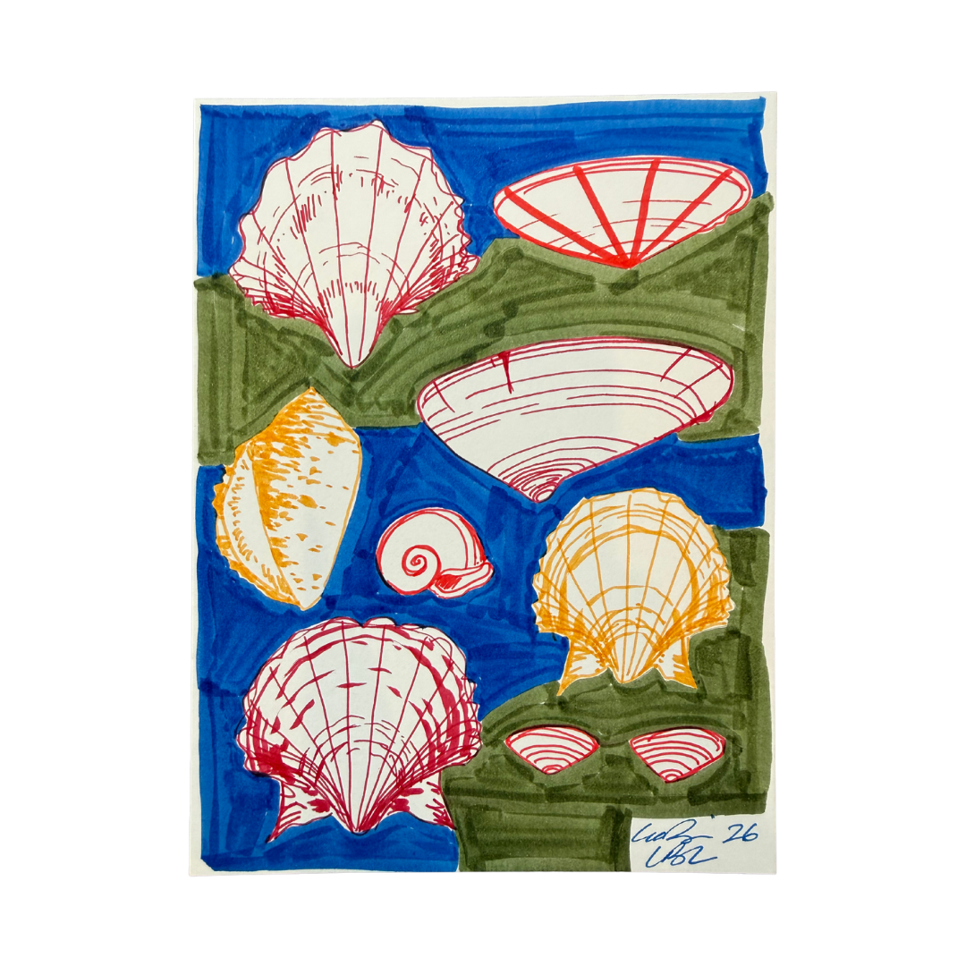 Long Island Sound, NY