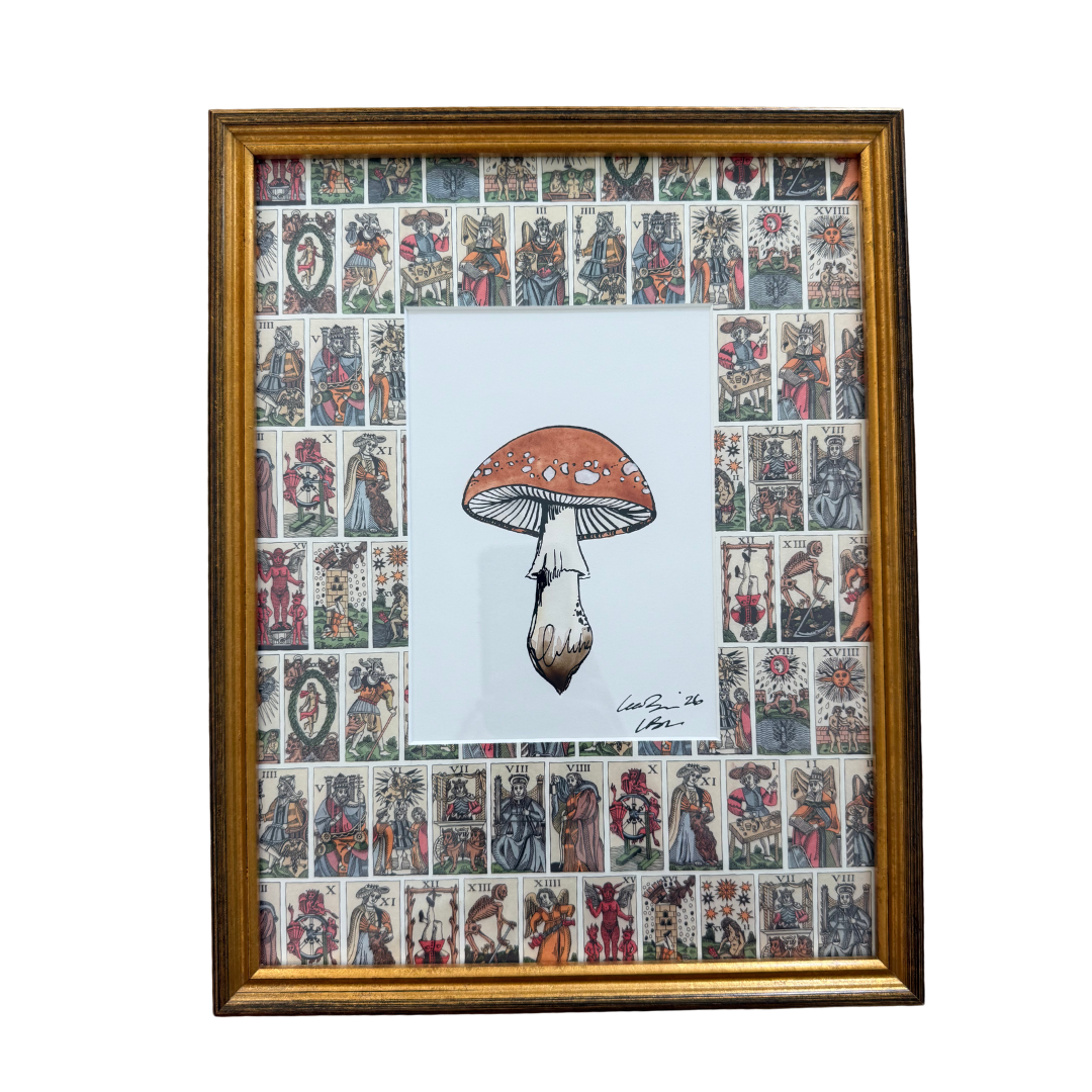 Spotted Saddle Cap Mushroom on Tarot