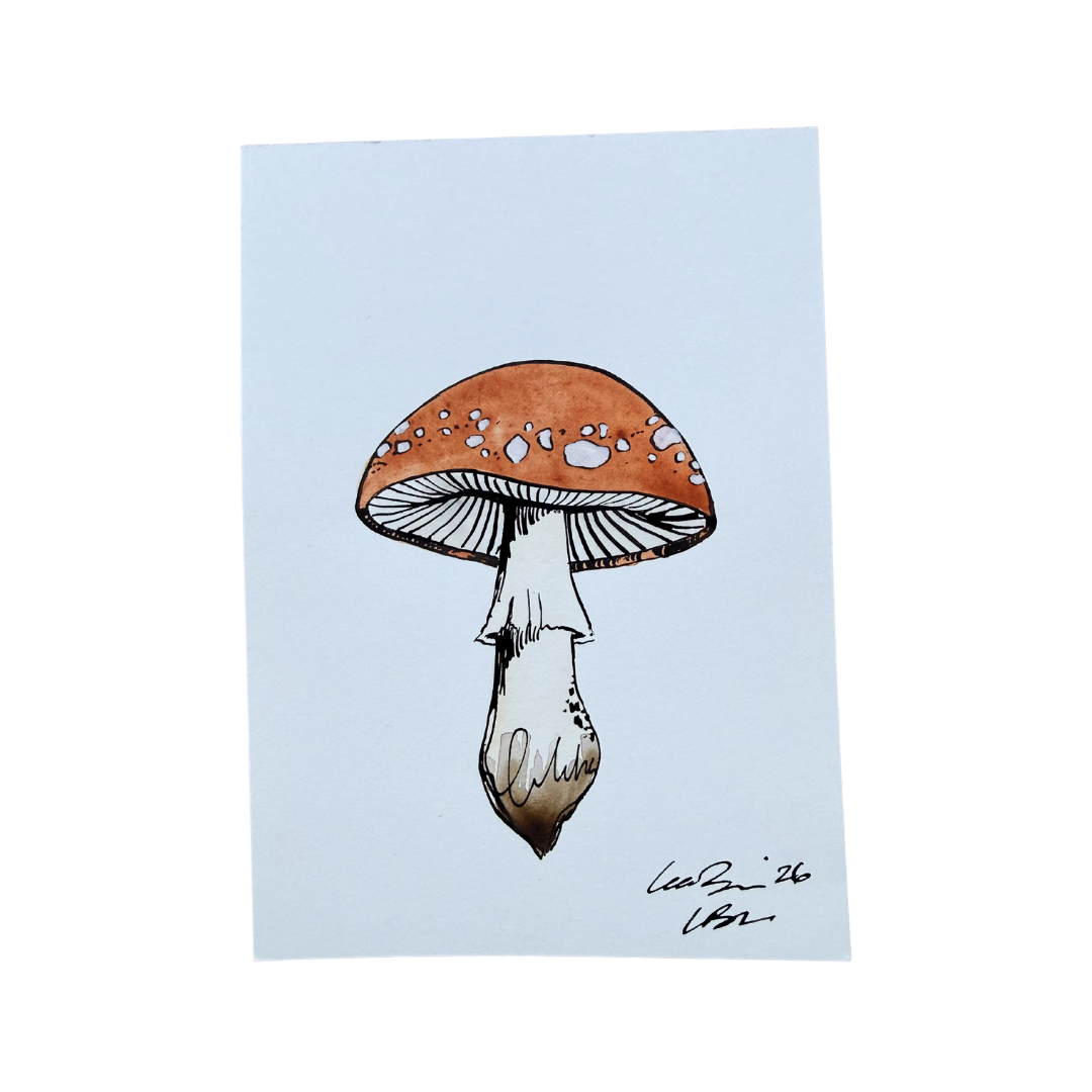 Persimmon Spotted Cap Shroom