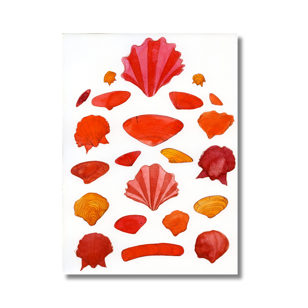 Crimson and Scarlet Shells