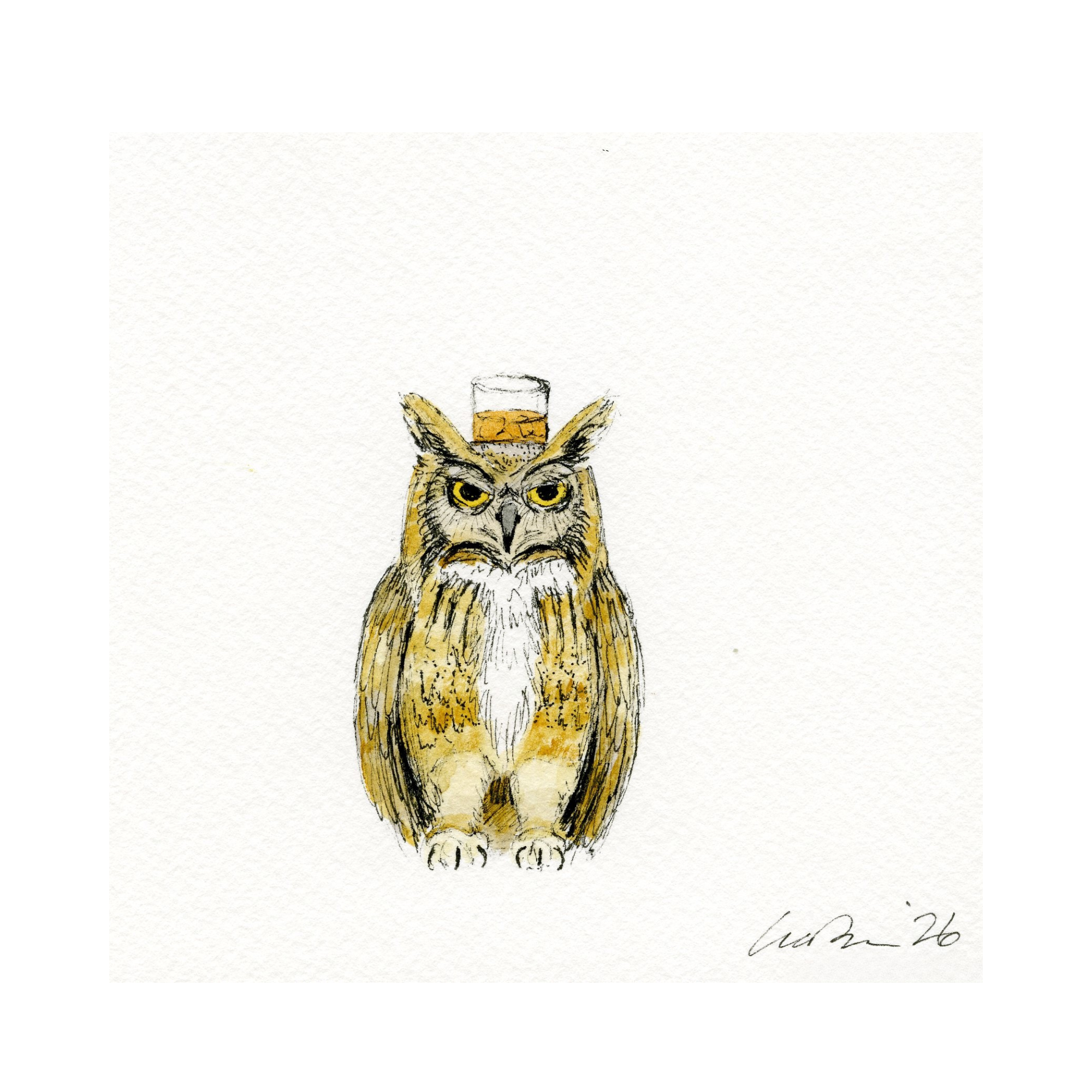 Wise Scotch Owl.png