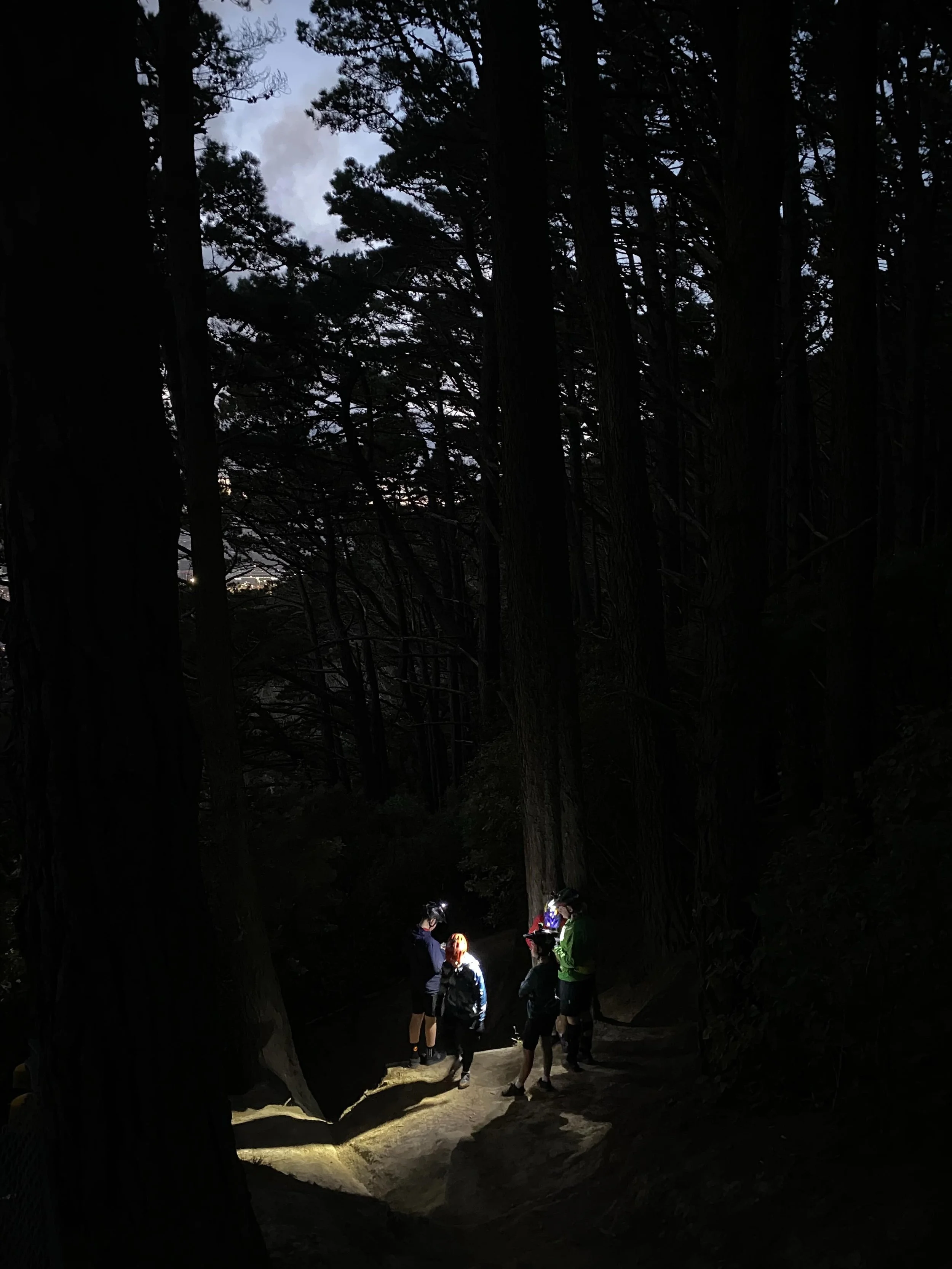 WORD works hard to challenge the temptation of winter hibernation. Embracing our own value of adapting to change, the month of May saw over 20 kids getting stuck into our 4-week night riding term. 

Strapping lights to our heads, and wearing as many 