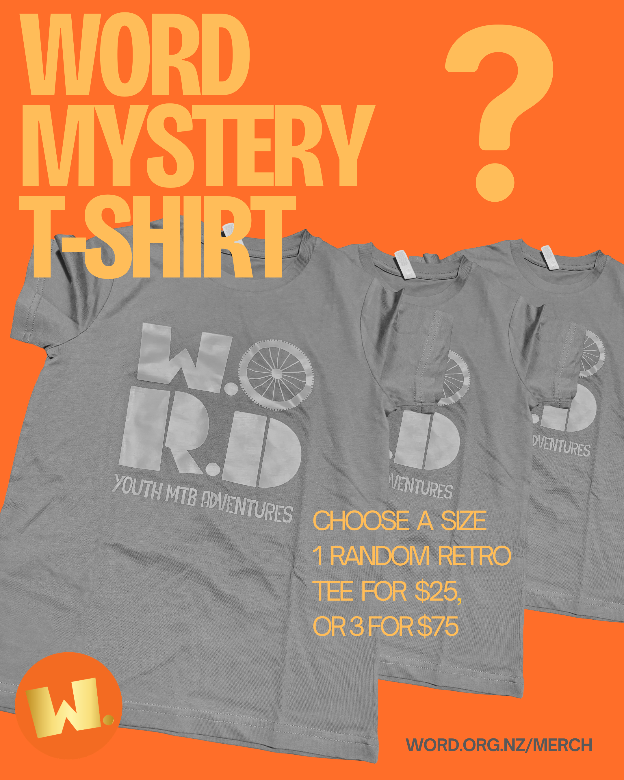 mystery tee.png