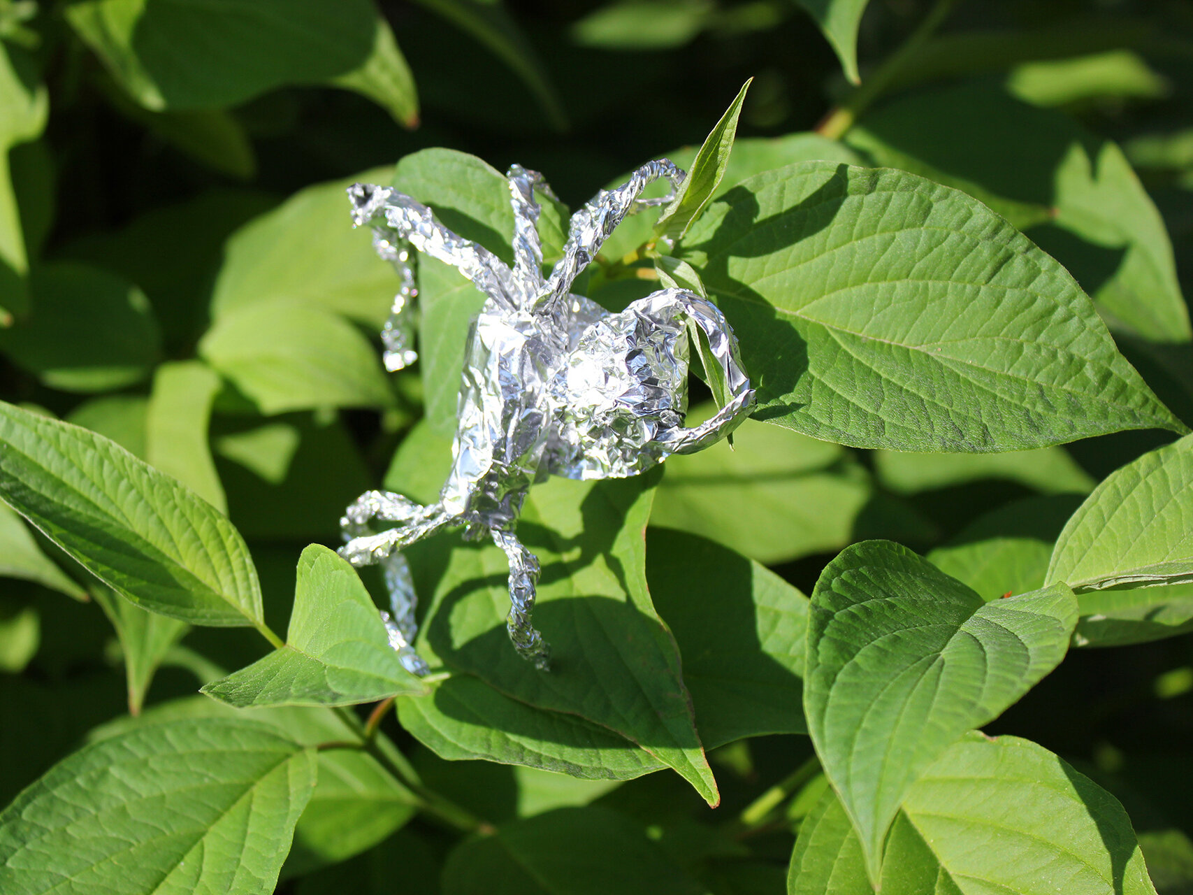 Tin Foil Spider On Leaf 01