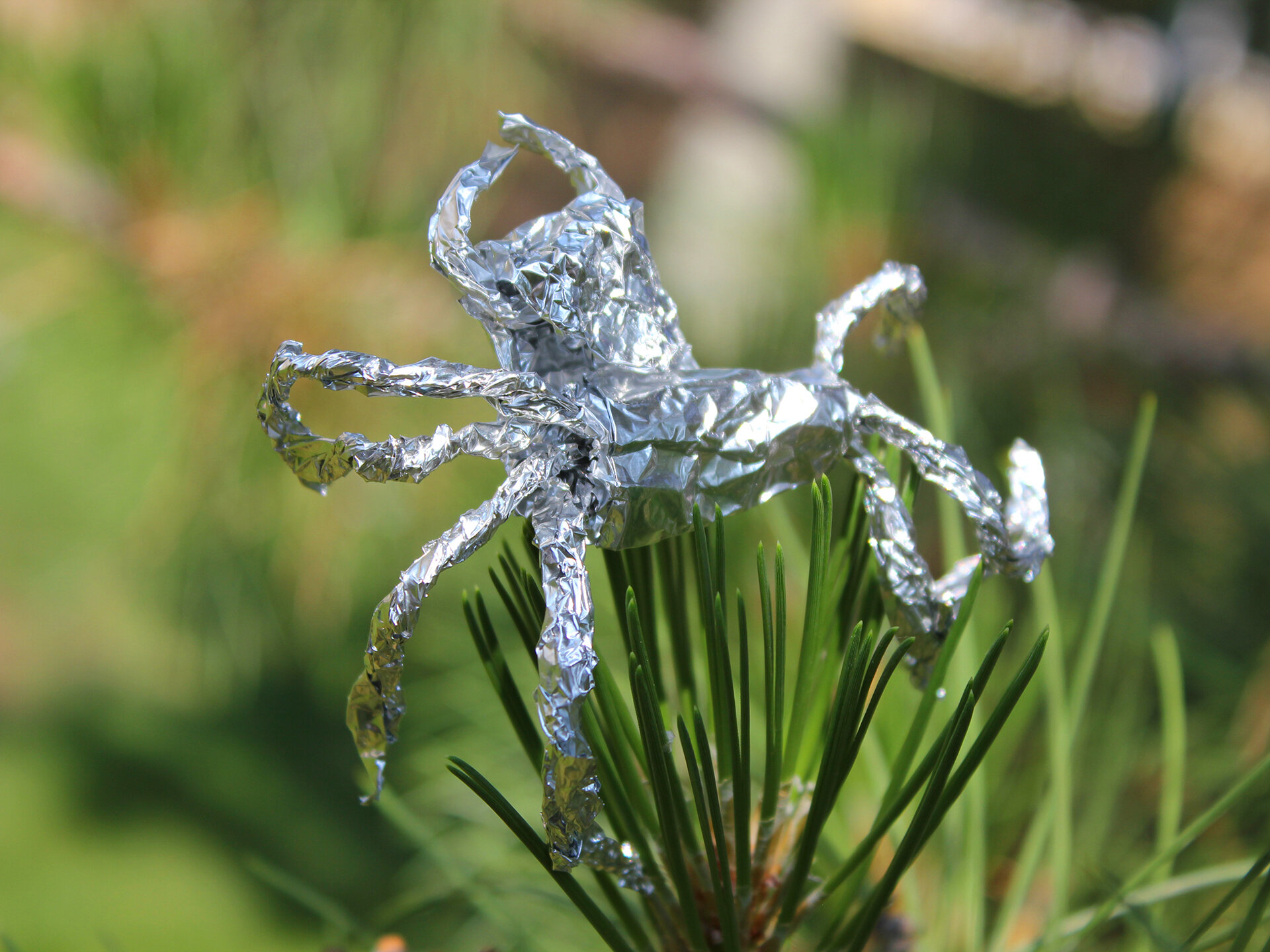 Tin Foil Spider On Leaf 03