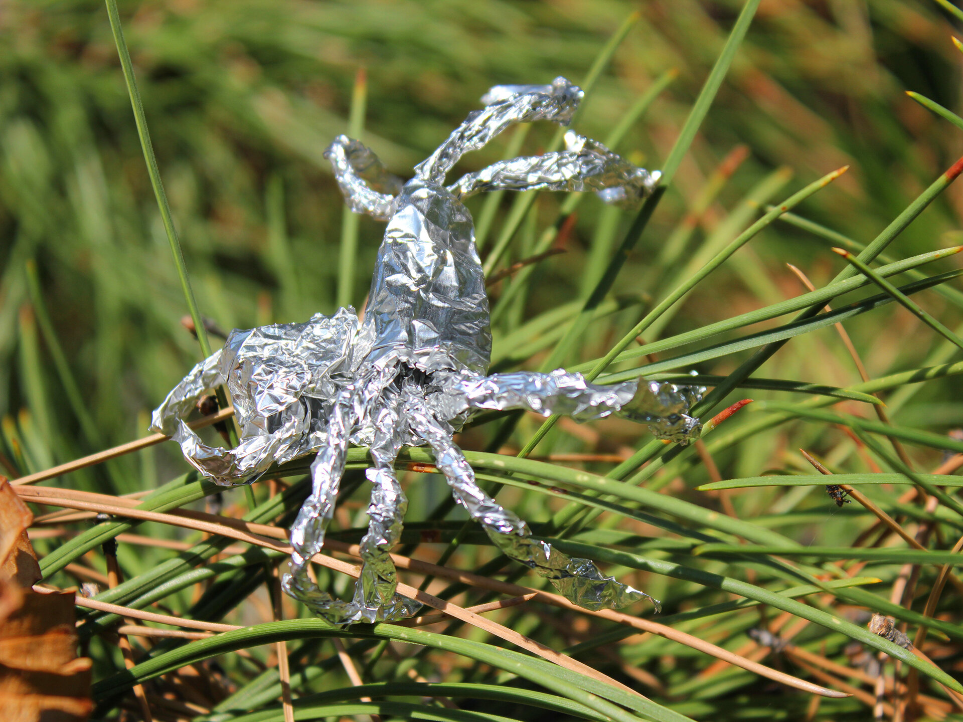 Tin Foil Spider On Leaf 02