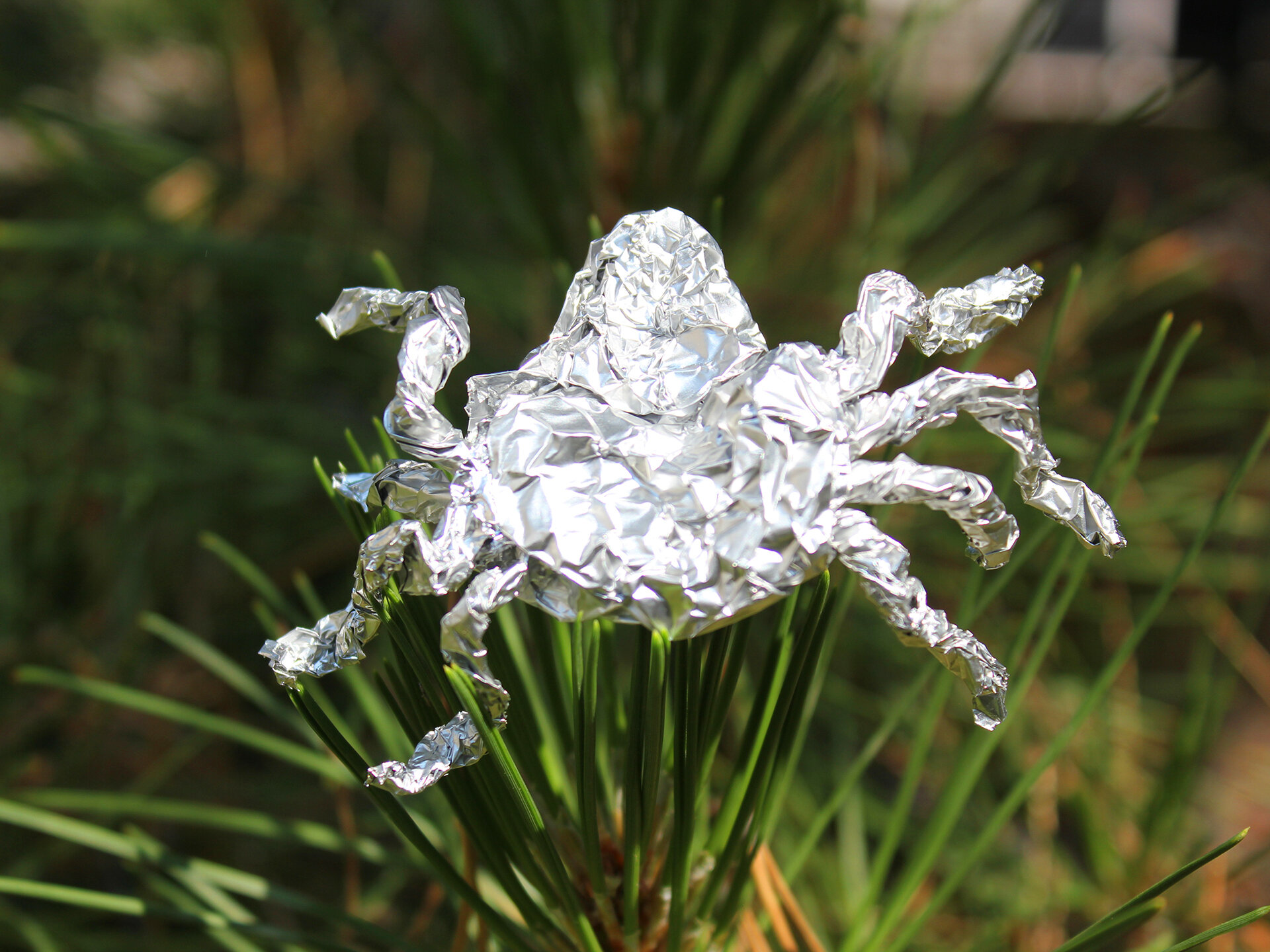 Tin Foil Spider On Leaf 04