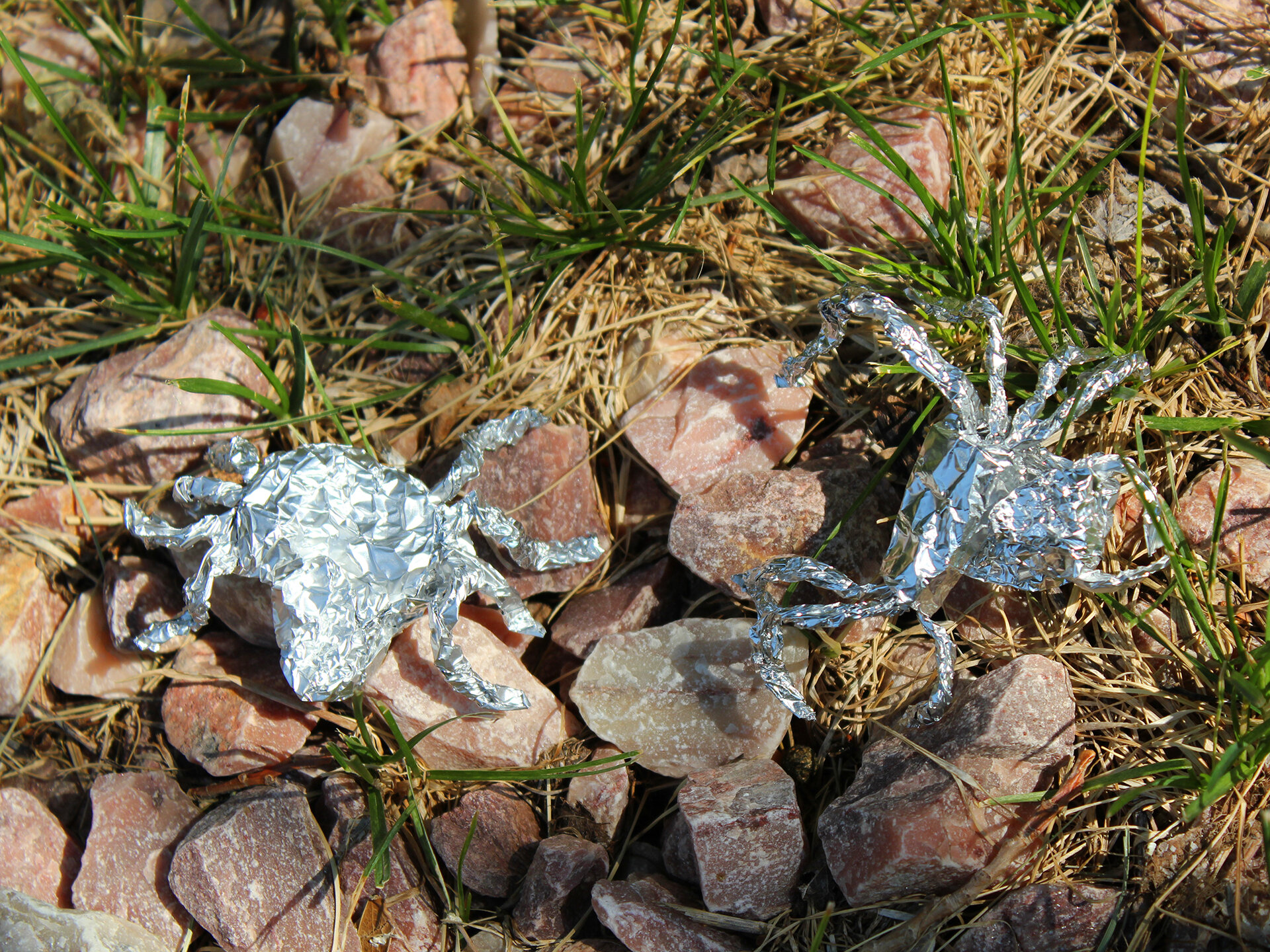 Tin Foil Spider On Rocks