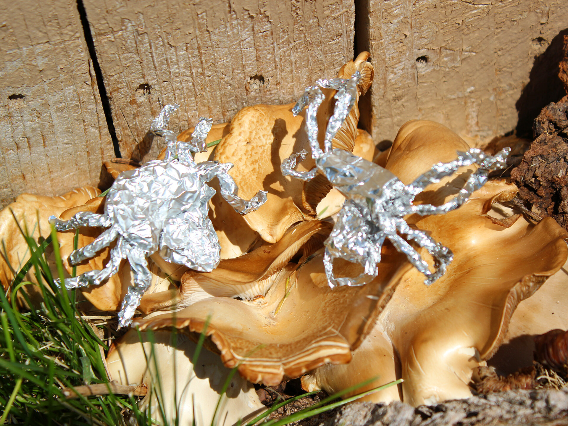 Two Tin Foil Spiders on Mushroom