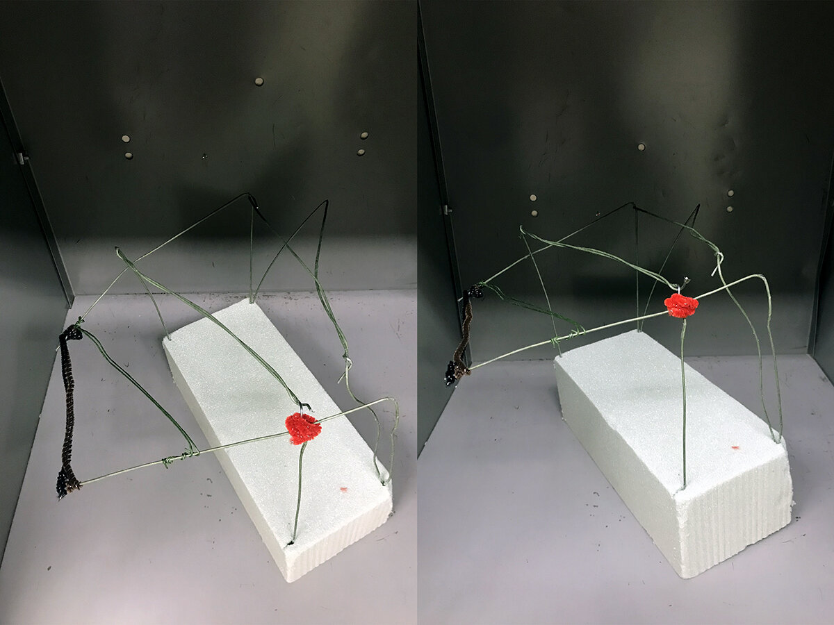 Wire architectural sculpture: top and 3/4 view