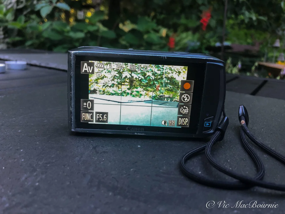 Canon PowerShot Elph 500 is great for flower and garden photography