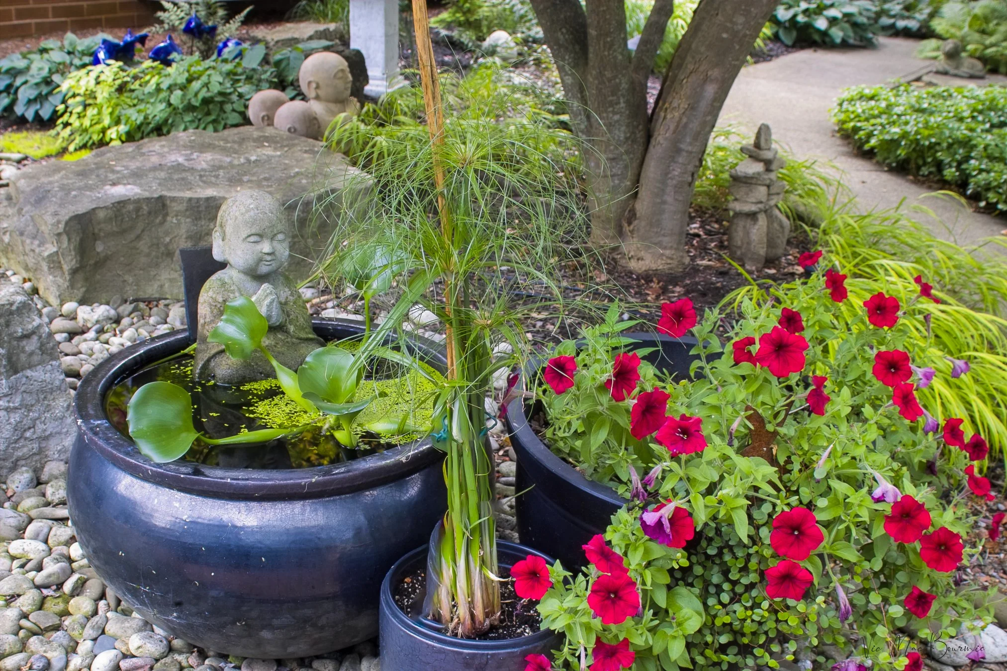 a small Japanese-style garden in the front of the home