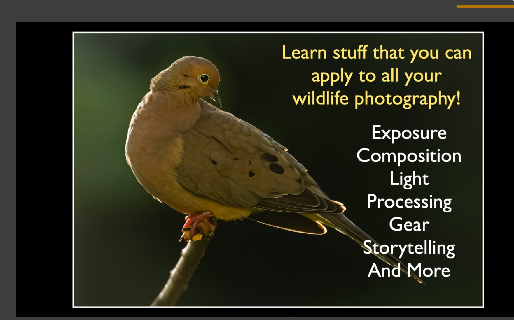 an example of the information Rick Sammon hares in his KelbyOne course.