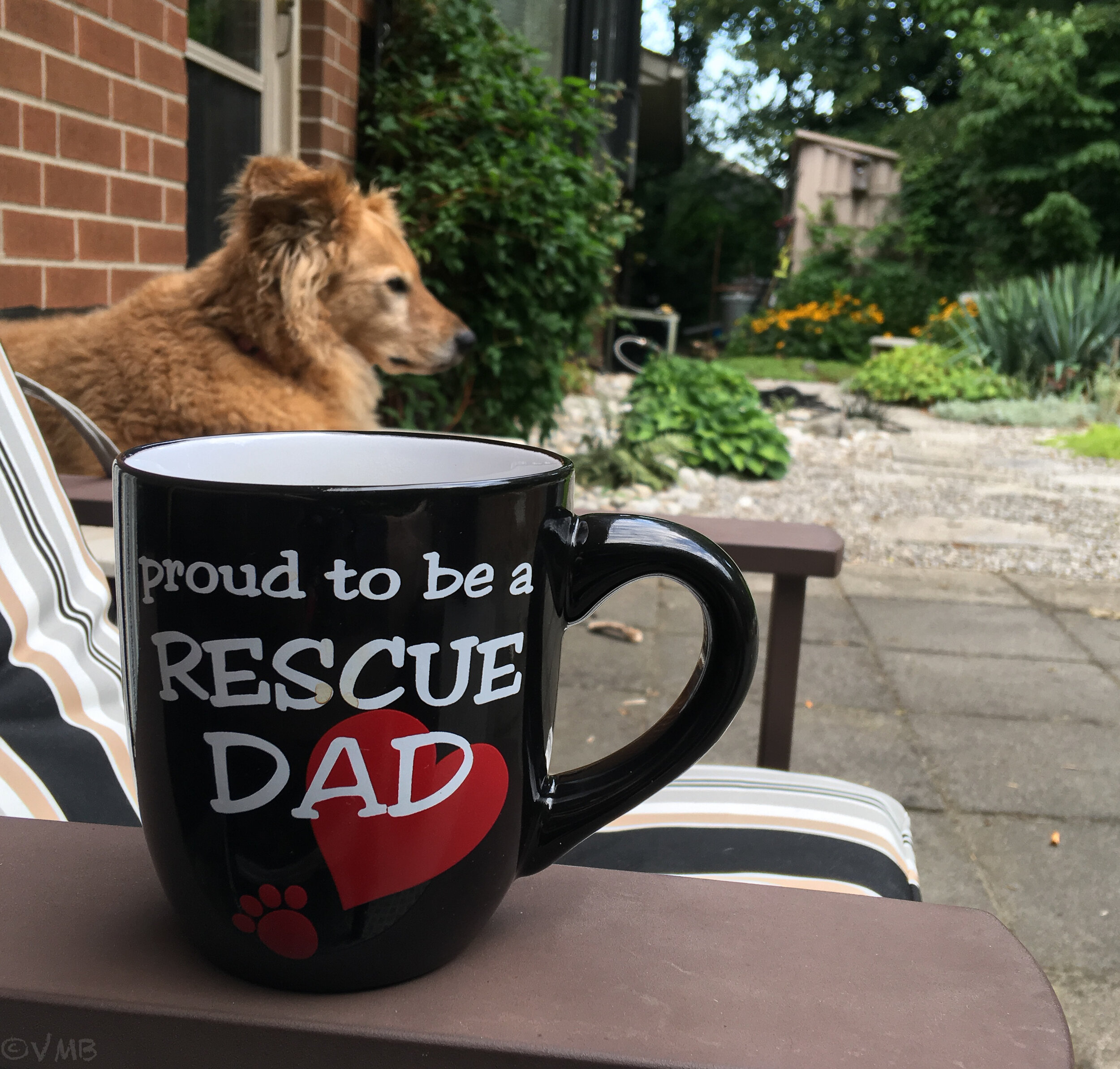 Proud to be a rescue dad coffee mug with our rescue dog holly in the background..jpg