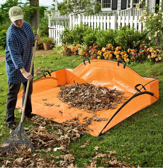 Garden cleanup made easy…. a dustpan for your leaves.