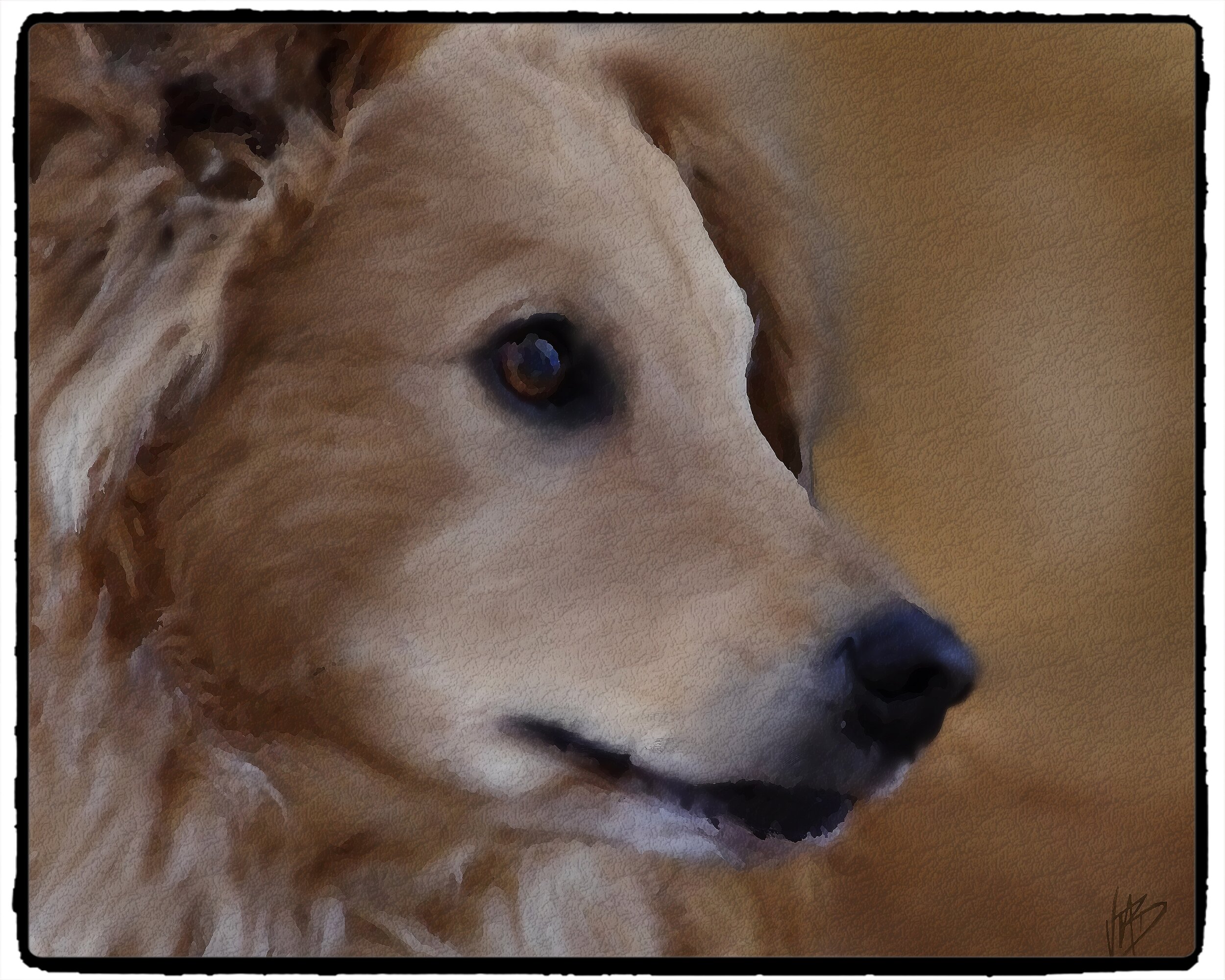 Digital paintings of my best garden buddy Holly who needed a pacemaker installed more that three years ago.