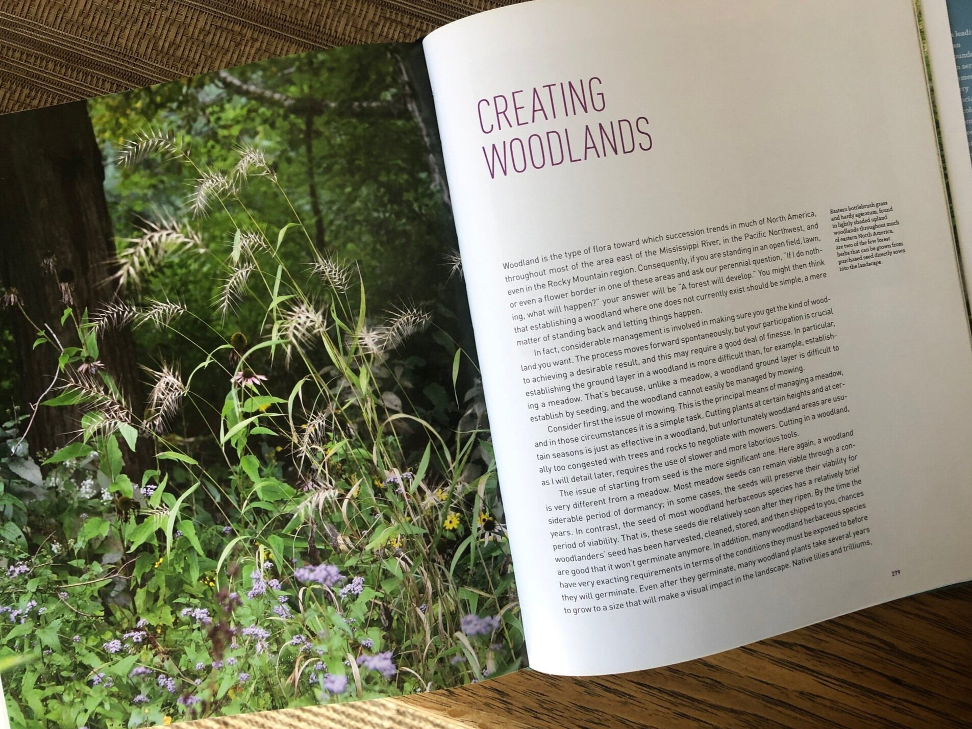 One of the last chapters in the book focuses on the steps needed to create and maintain an ecologically-based woodland garden.