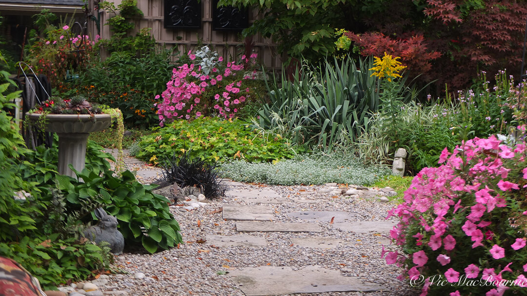 A natural garden path with a combination of native perennial and annual flowers and wildflowers creates a welcoming habitat for backyard wildlife.
