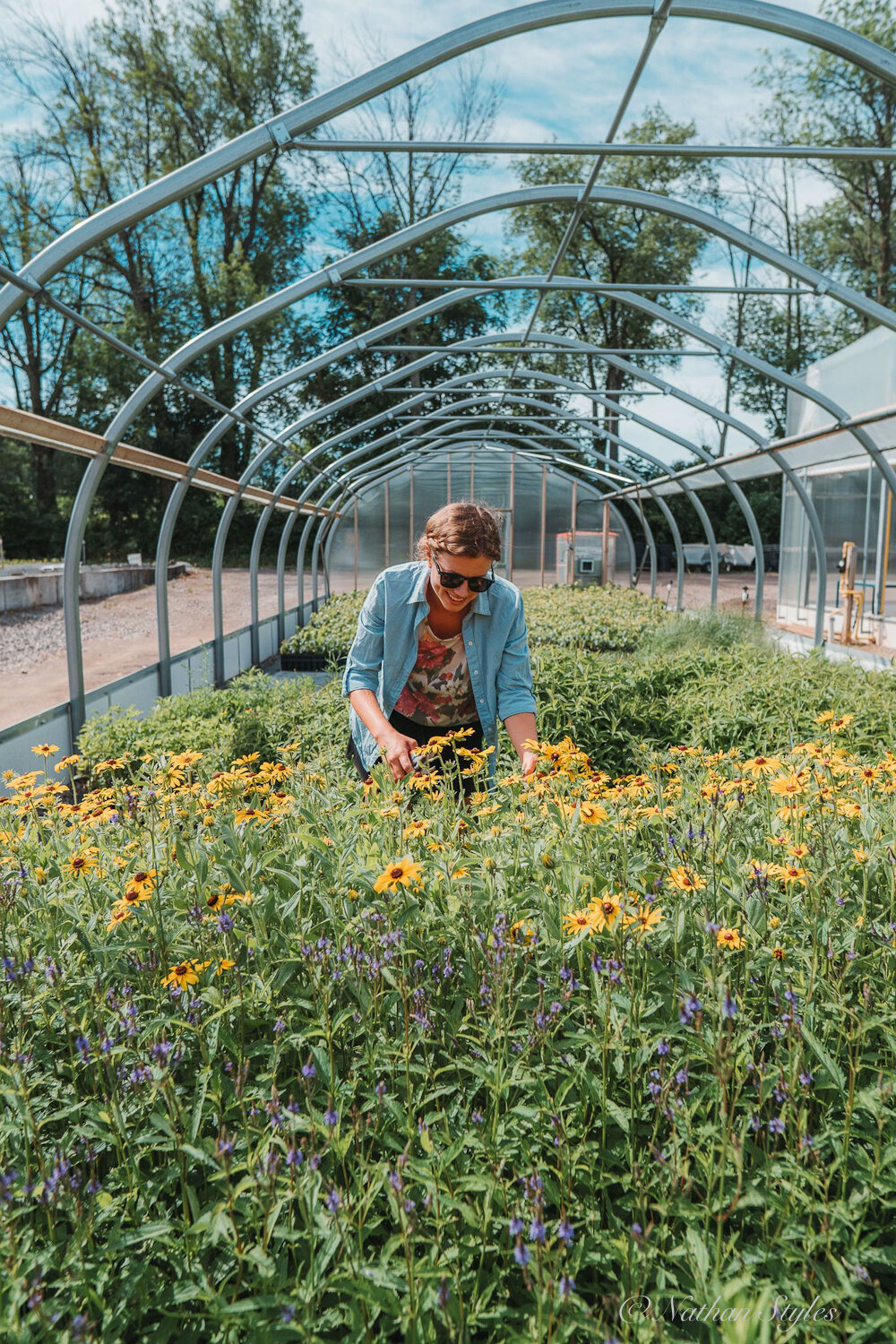 Reyna looks over some of the many wildflowers in one of the ONP greenhouses.