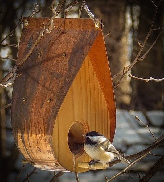 Our new QandA feeder has been attracting the Chickadees since we put it up. I just love this feeder and can&rsquo;t wait for the copper roof to age beautifully. @qnadesign #feeder #chickadee #backyardbirds #qanda