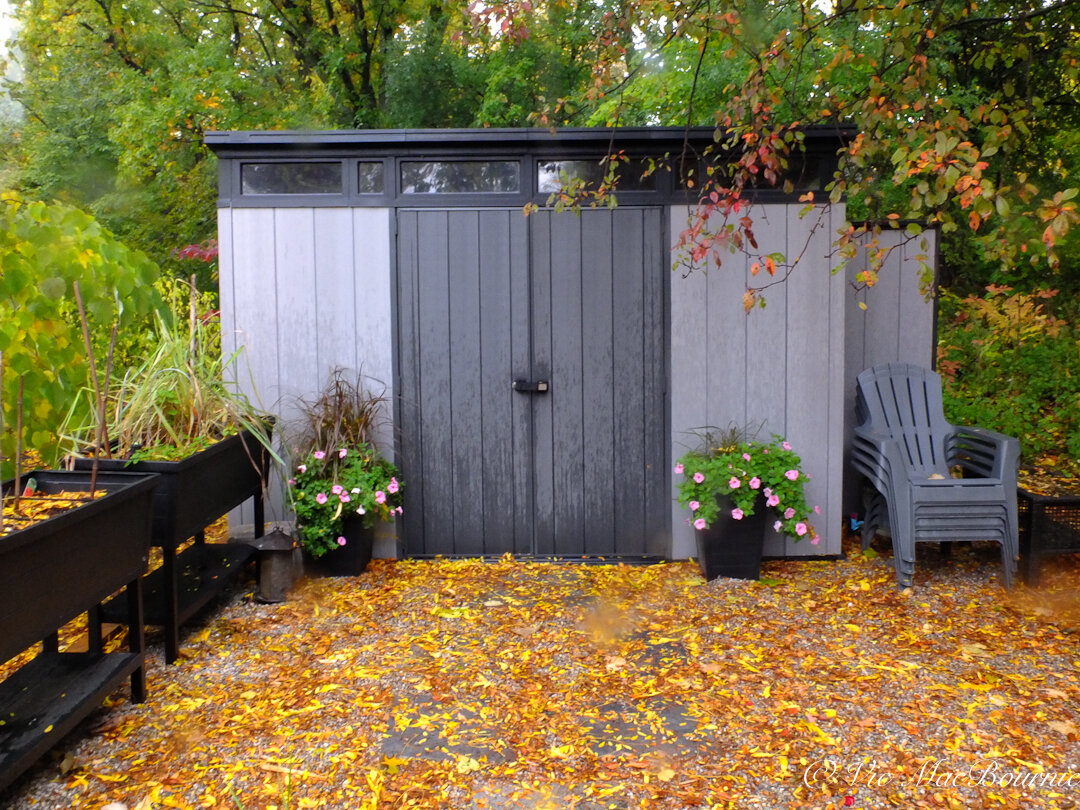 Our Keter sheds, raised planters and containers flanking the doors all work together to create unified look in the garden.