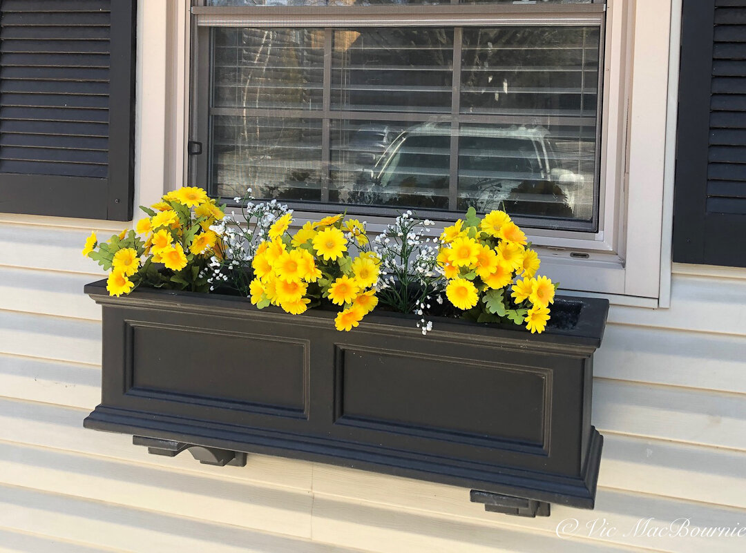An example of using artificial flowers in early spring to add a punch of colour. the plants can be used to fill out the boxes before the plants have filled out.