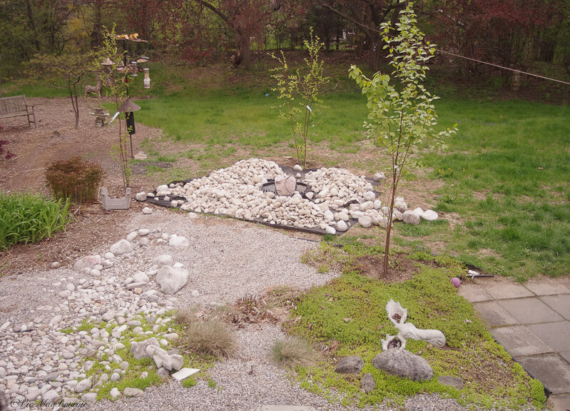 The beginnings of a design that finally pulled this rather unkept area together with the installation of a dry river bed below a birch grove. The main picture above shows how a few years of growth has transformed this area into a positive rather tha…