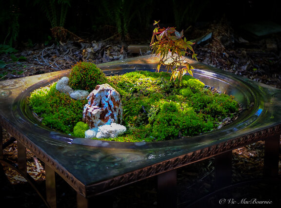 The finished moss garden container in its copper former fire pit.