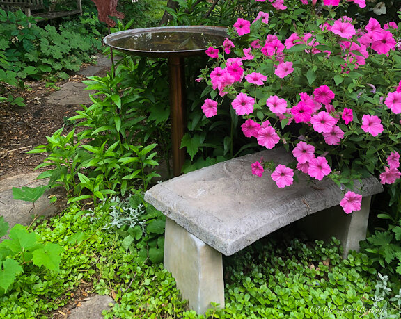 A copper bird bath is always a good choice both for its aesthetics as well as its antimicrobial benefits.