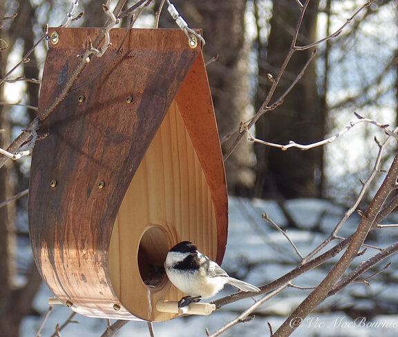 The Q&amp;A artisan bird feeder is a must for bird lovers looking for a unique gift or a piece of art for the garden.