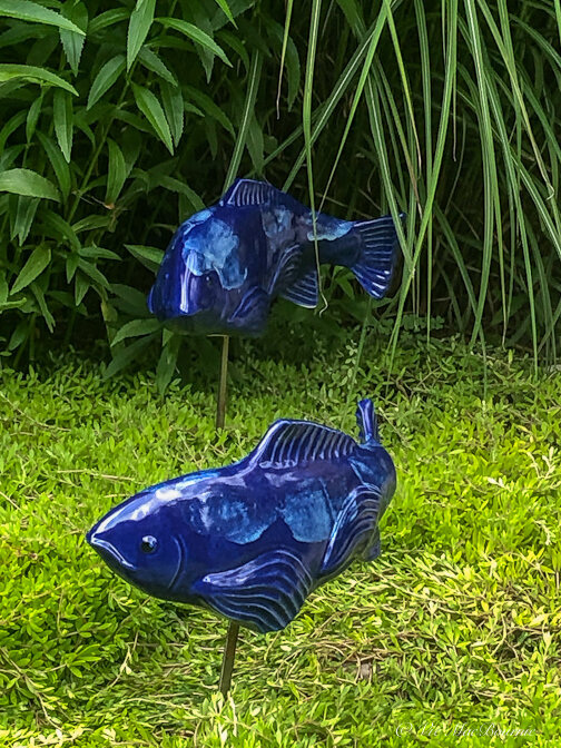 Cobalt fish.jpg