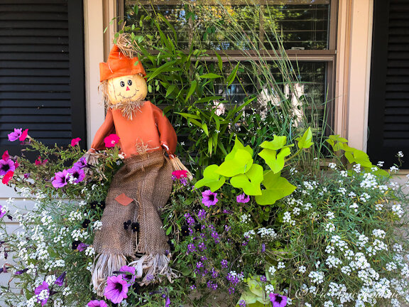 Window box in fall decor just to add a little whimsy as the garden season draws to an end.
