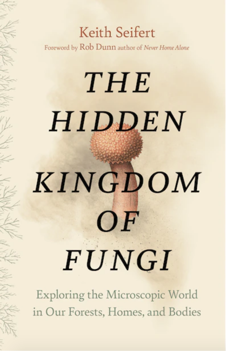 The Hidden Kingdom of Fungi opens a secret world into our forests and homes 