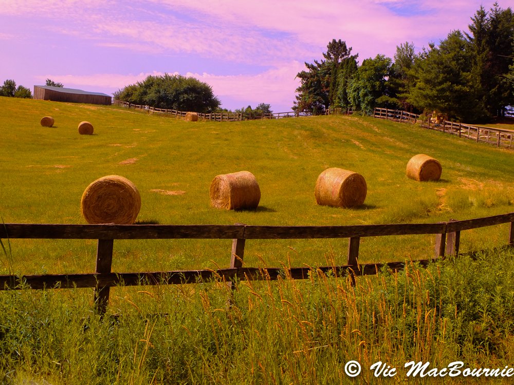 Hay field with Cokin Blue/Yellow polarizer
