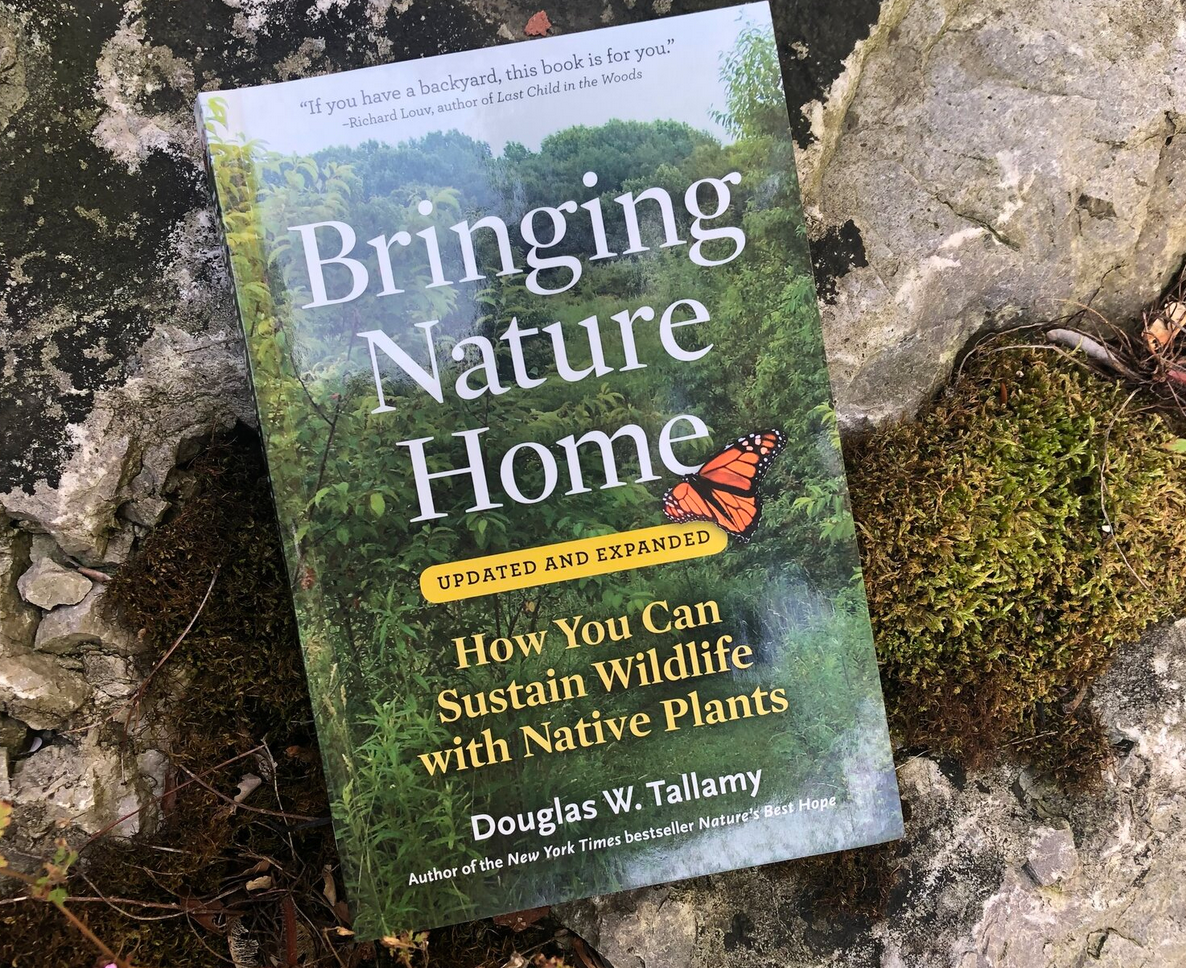 Bringing Nature Home from author Douglas Tallamy