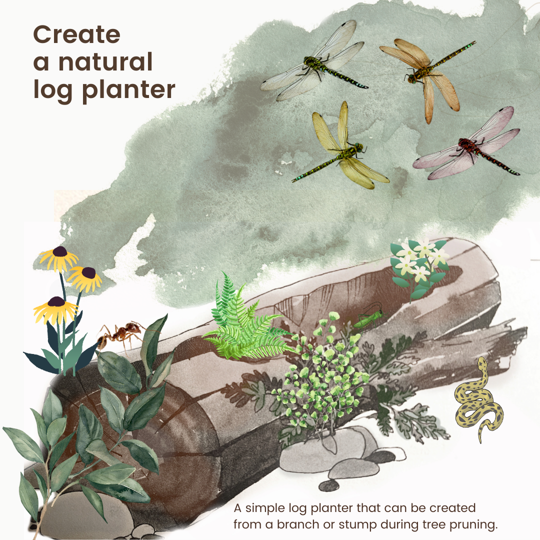 A log planter is the perfect addition to any wildlife garden.