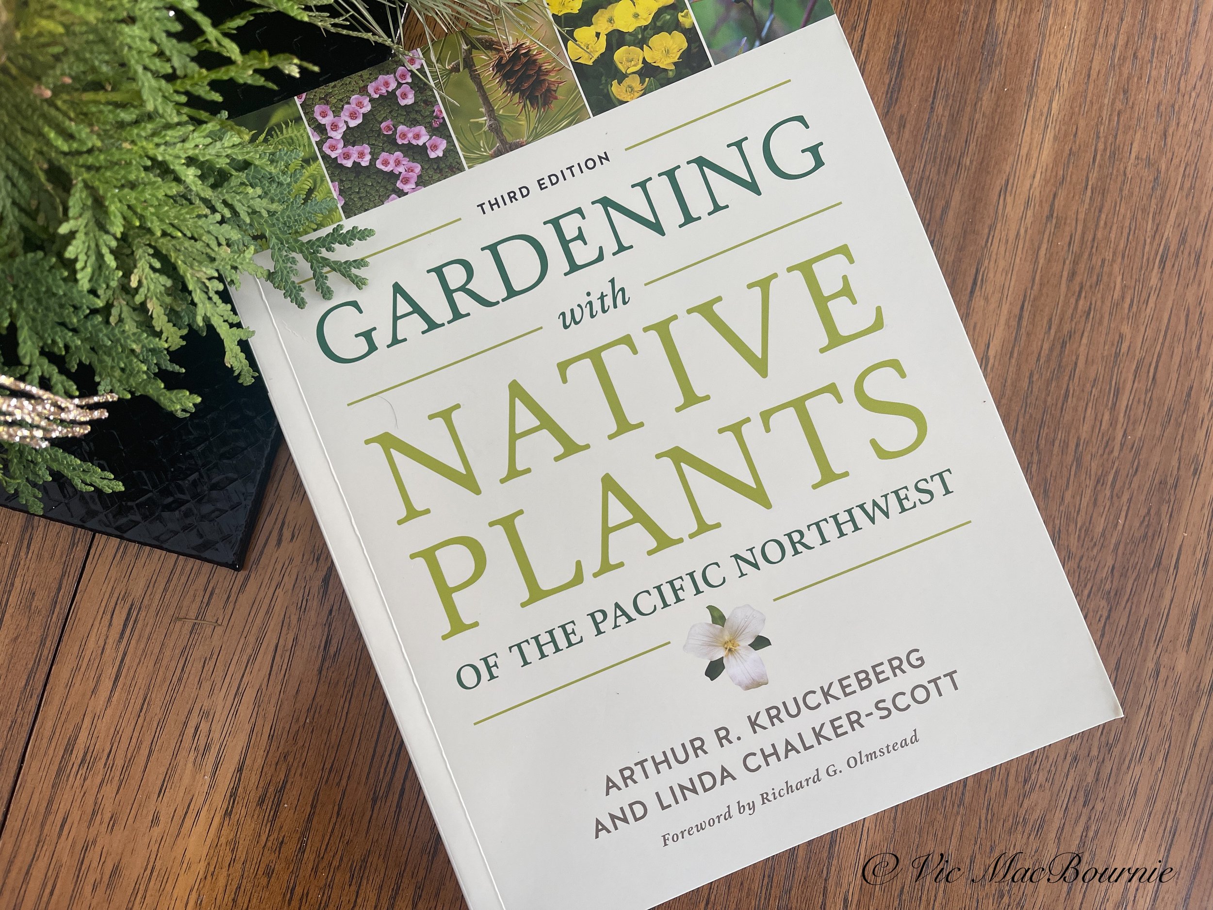 Native plants in the Pacific Northwest