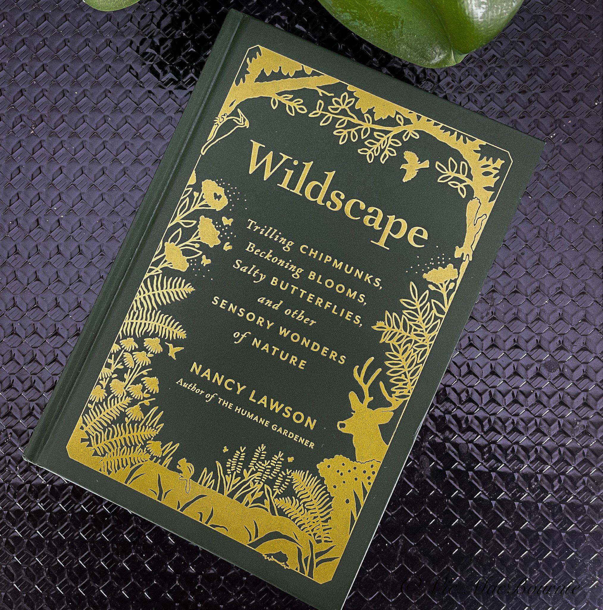 Wildscape: Exploring the senses to live in peace in our gardens