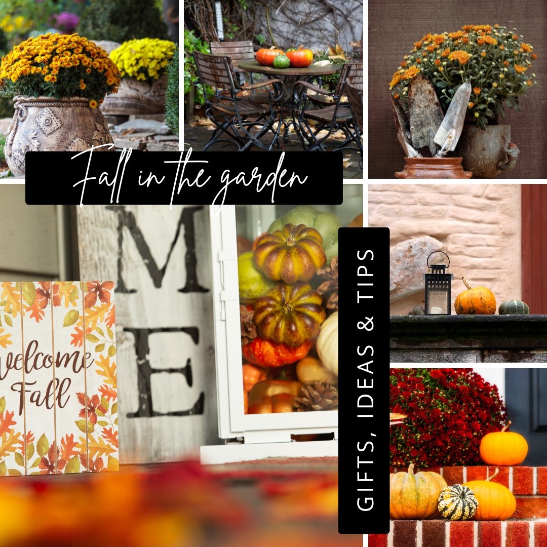 Embracing fall: Ideas for gardeners both indoors and out