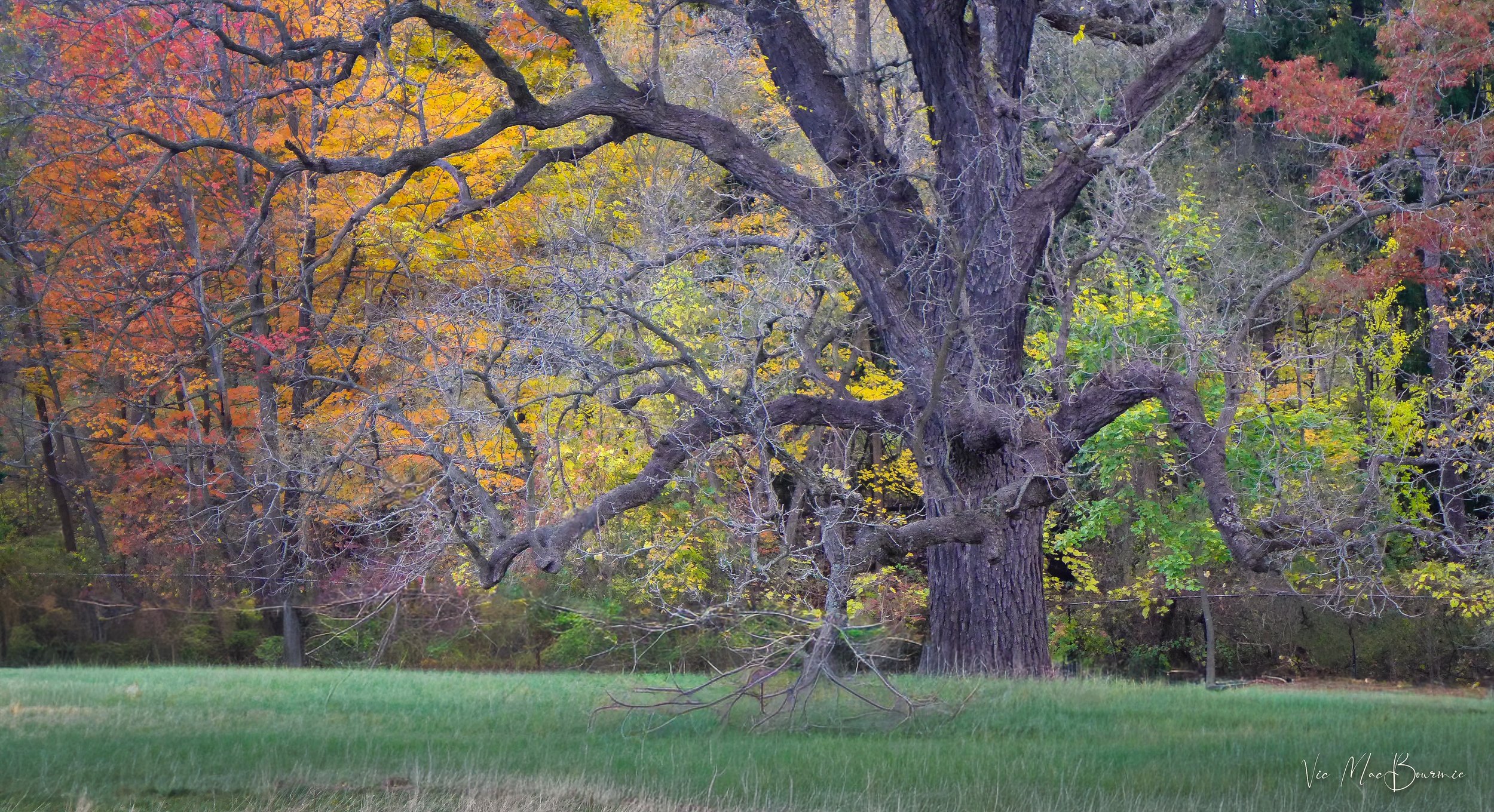 Luminar Neo takes lighting to another level