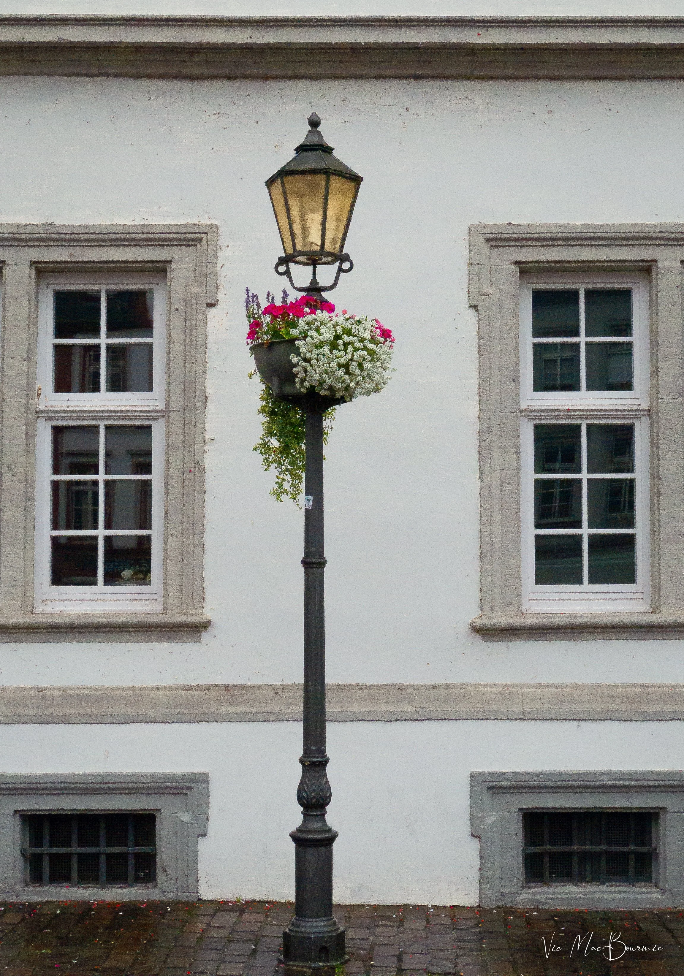 Light standard and flowers-1.jpg