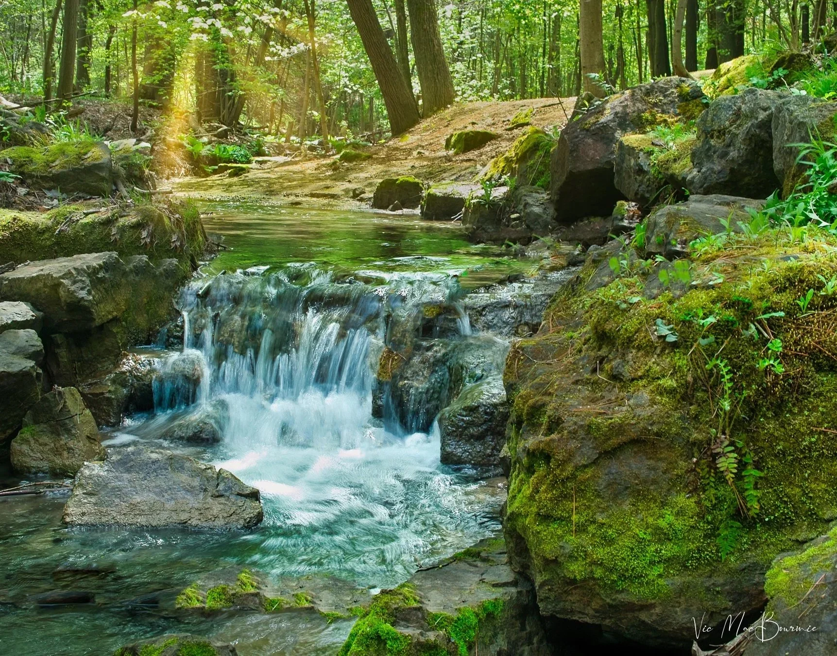  A small waterfalls in a nearby woodland. This was post processed with a combination of Lightroom and Luminar Neo. Sigma DP2: 1/8th second/f9/ISO50/42.2mm