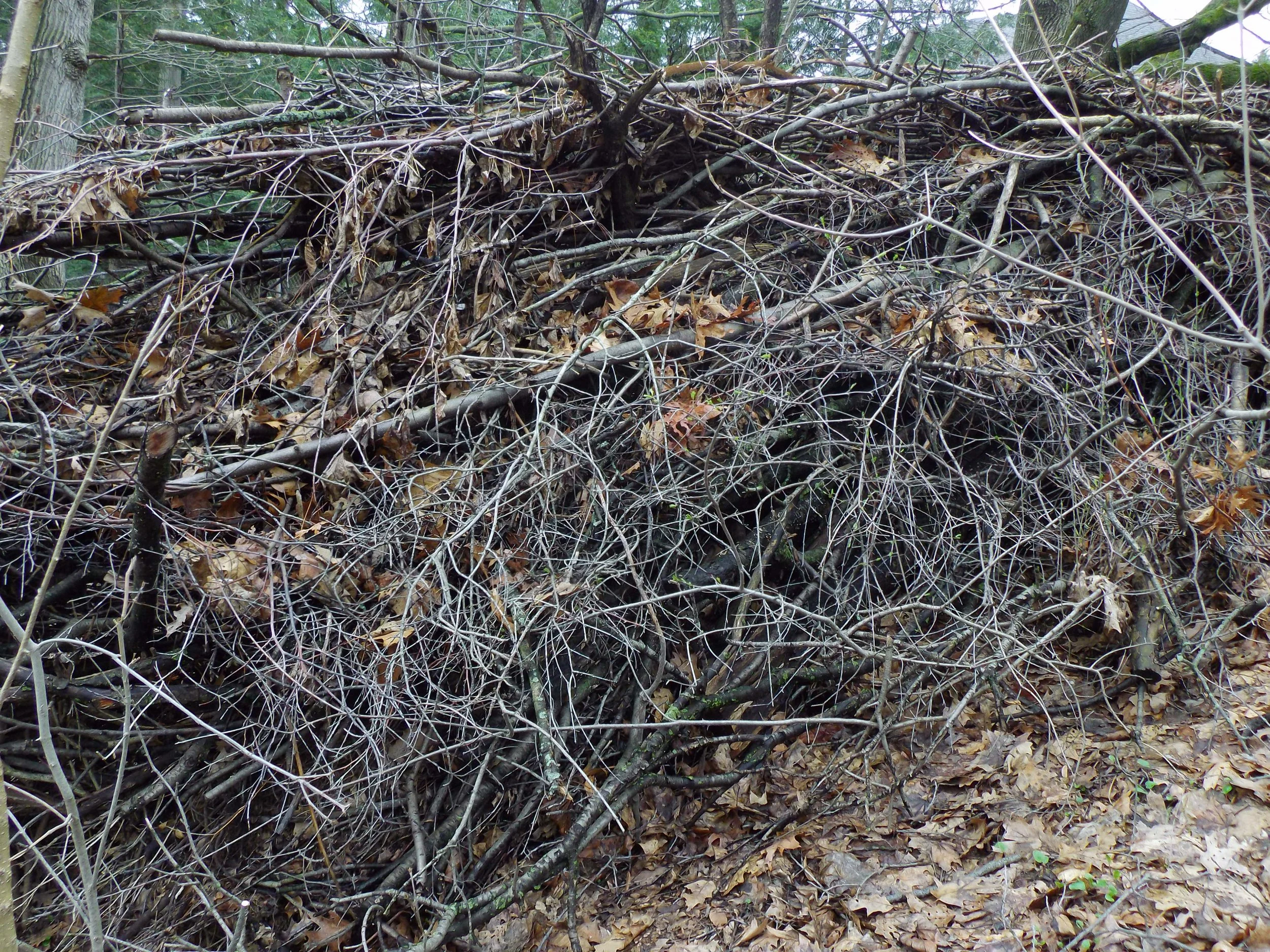 The “dead hedge” is coming to life