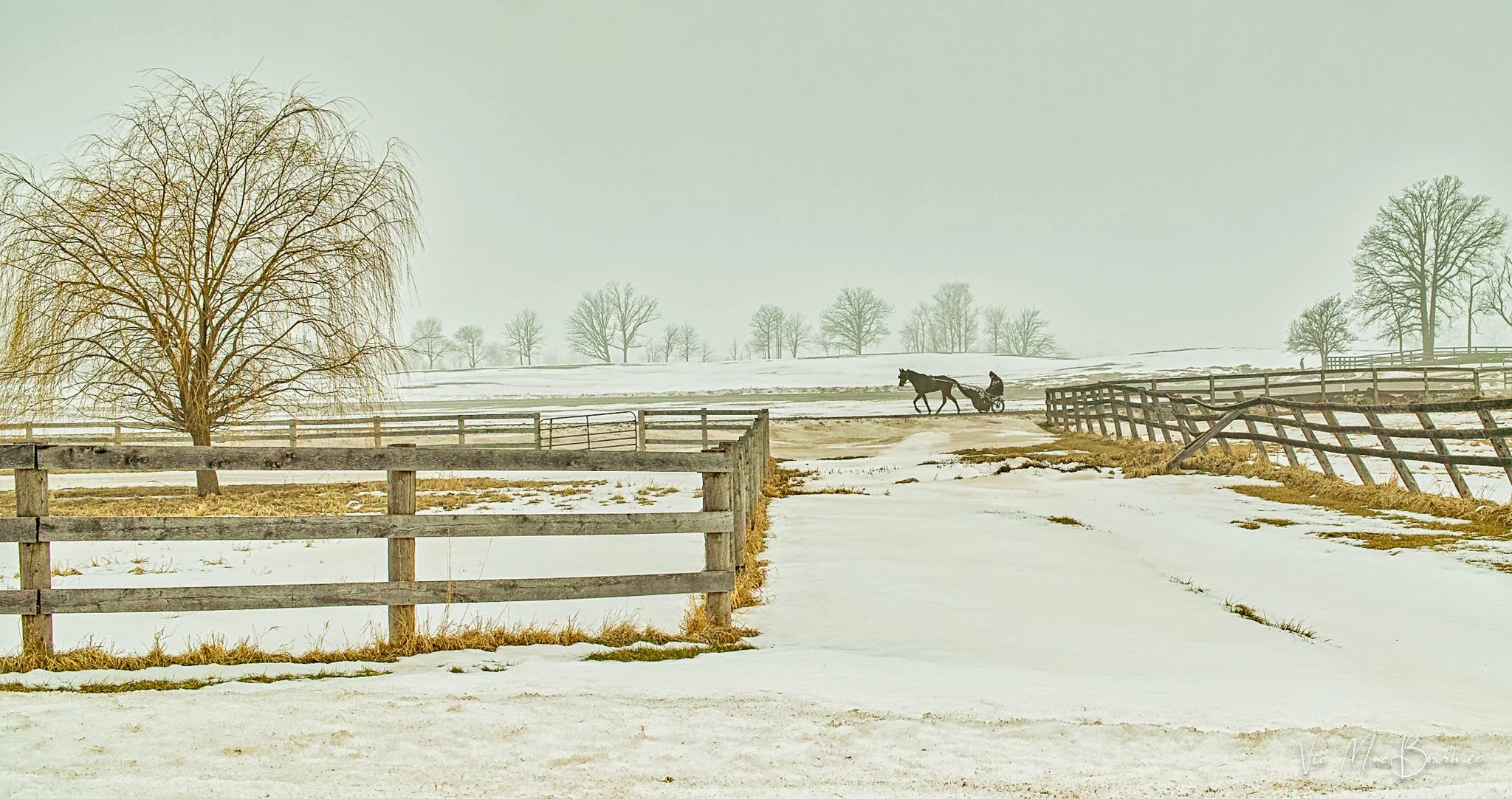 Out for a ride. Sigma DP2: 400th sec/ f7.1/ iso 100.